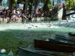 annecy-172.jpg