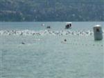 annecy-21.jpg