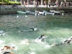 annecy-.jpg