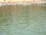 bourg-2009-12.jpg