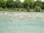 bourg-2009-22.jpg