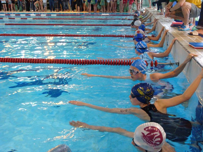 aquathlon-rillieux-2010-479.jpg