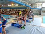 aquathlon-rillieux-2010-204.jpg