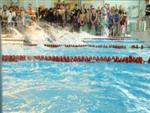 aquathlon-rillieux-2010-278.jpg