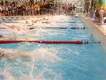 aquathlon-rillieux-2010-371.jpg