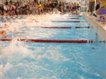 aquathlon-rillieux-2010-372.jpg