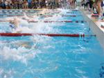 aquathlon-rillieux-2010-483.jpg