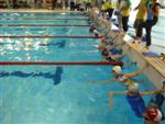 aquathlon-decouverte-2010-168.jpg