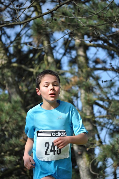 aquathlon-2011-720.jpg