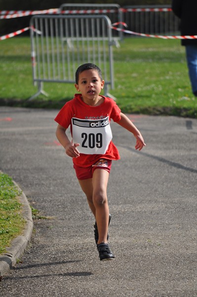 aquathlon-2011-889.jpg