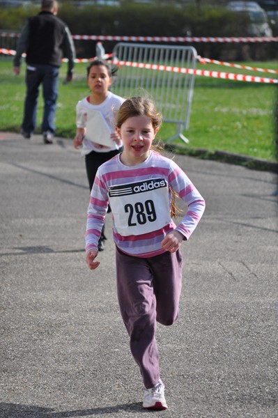 aquathlon-2011-891.jpg