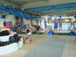 aquathlon-2011-.jpg