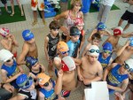 aquathlon-2011-.jpg