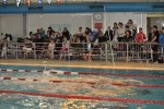 aquathlon-2011-155.jpg