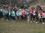 cross-mamelon-22.jpg