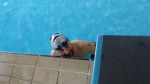 aquathlon-rillieux-61.jpg