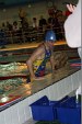 aquathlon-rillieux-465.jpg