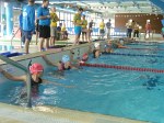 aquathlon-rillieux-2016-s-778.jpg