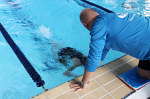 aquathlon-rillieux-2017-jeunes-615.jpg