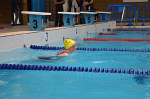 aquathlon-rillieux-2017-33.jpg