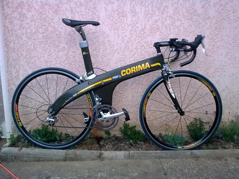 Corima fox