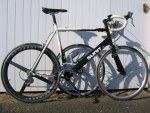 Sunn QUADRIPS 650