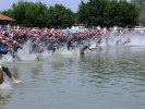 Filename=b4 (Medium).jpg
Filesize=83KB
Dimensions=666x500
Date added=Jun 01, 2005 b4 (Medium).jpg