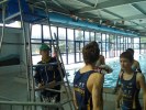 Fitxategia=aquathlon-rillieux-2007-241.jpg
Tamaina=113KB
Neurriak=800x600
Igotze data=2007(e)ko Mar(a)ren 29(e)an aquathlon-rillieux-2007-241.jpg
