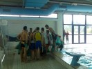 Fitxategia=aquathlon-rillieux-2007-251.jpg
Tamaina=76KB
Neurriak=800x600
Igotze data=2007(e)ko Mar(a)ren 29(e)an aquathlon-rillieux-2007-251.jpg