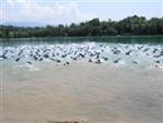 triathlon-rumilly-3.jpg