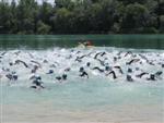 triathlon-rumilly-4.jpg
