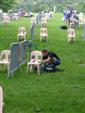 bourg-triathlon-2008-22.jpg