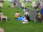 bourg-triathlon-2008-46.jpg