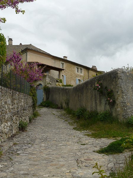 sttr-143.jpg
