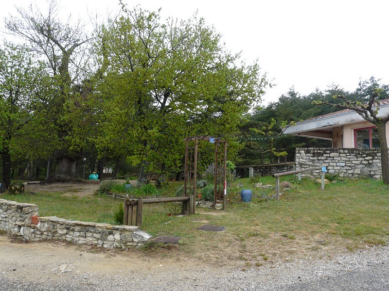 sttr-148.jpg