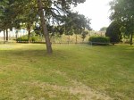 rillieux-en-fete-27.jpg