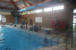 telethon-5.jpg