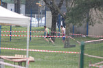 aquathlon-rillieux-2017-998.jpg